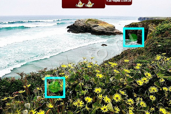 Найди птичек игра помощь Уровень 55