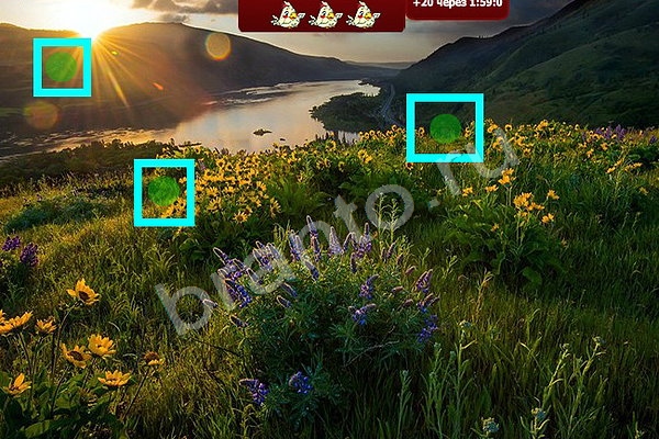 Найди птичек ответы в картинках Уровень 56