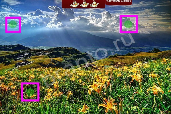 Игра Найди птичек ответы Уровень 57