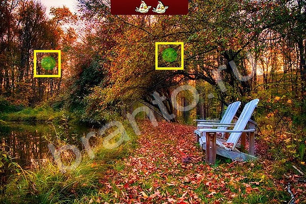 Решения на игру Найди птичек Уровень 63
