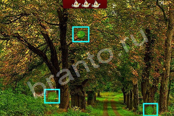 Одноклассники Найди птичек ответы Уровень 68