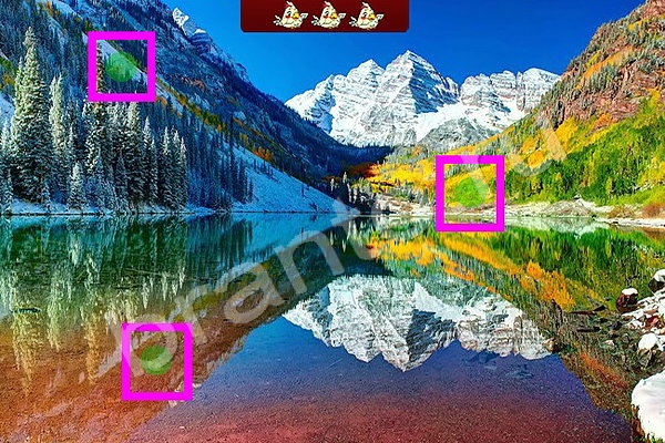 Найди птичек решения Уровень 72