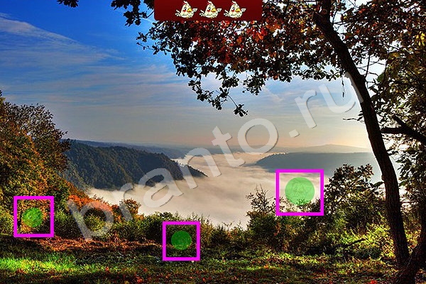 Найди птичек игра подсказки Уровень 74