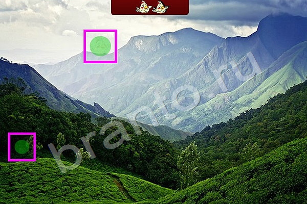 Найди птичек ответы в картинках Уровень 76