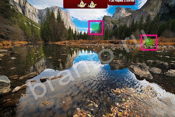 Игра Найди птичек ответы Уровень 77