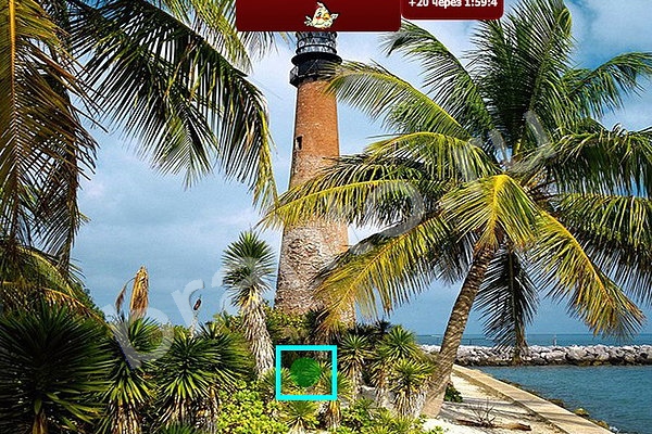 Игра Найди птичек подсказки Уровень 78