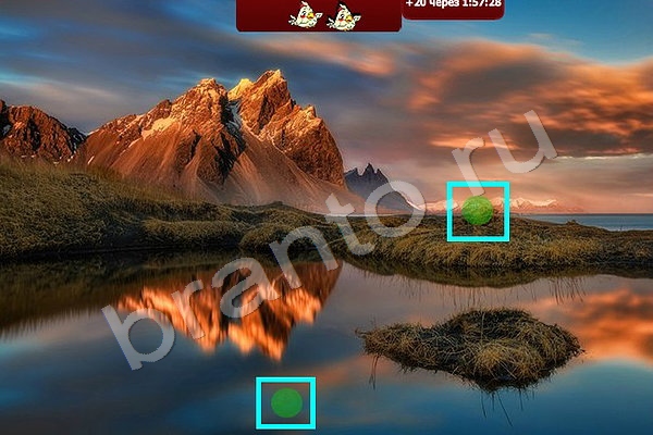 решебник на игру Найди птичек Уровень 81