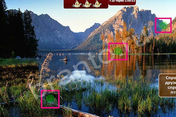 Найди птичек решения Уровень 82