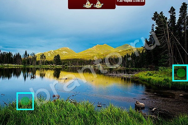 Найди птичек игра ответы Уровень 83