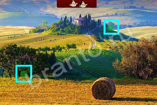 Найди птичек игра помощь Уровень 85