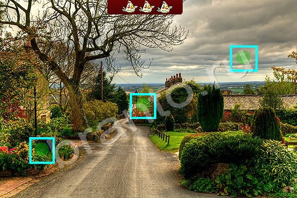 Найди птичек ответы в картинках Уровень 86