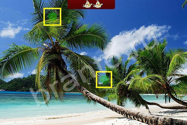 Игра Найди птичек ответы Уровень 87