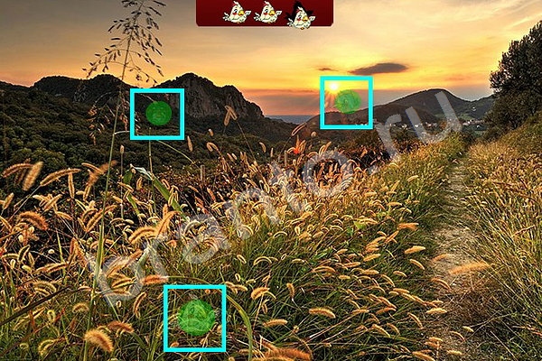 Решения на игру Найди птичек Уровень 93