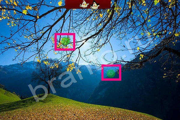 Помощь на игру ВК Найди птичек Уровень 94