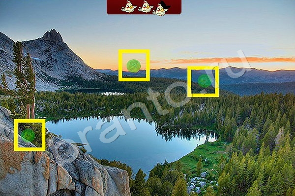 ответы к игре Найди птичек Уровень 95