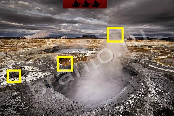 решебник на игру Найди птичек Уровень 101