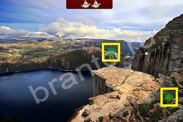 Найди птичек решения Уровень 102