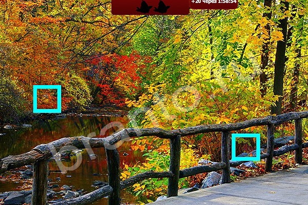 Игра Найди птичек ответы Уровень 107