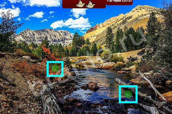 игра Найди птичек помощь Уровень 109