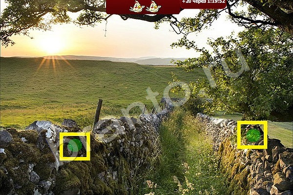 Найди птичек решения Уровень 112