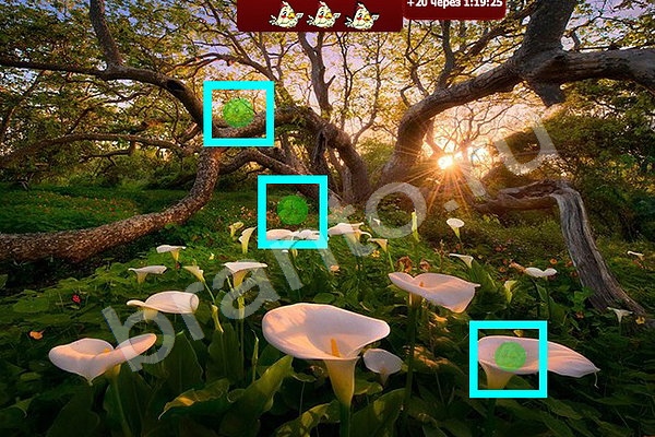 Найди птичек игра ответы Уровень 113