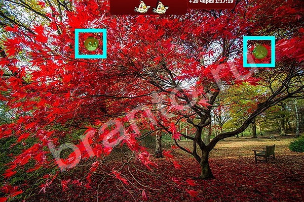 Найди птичек ответы в картинках Уровень 116