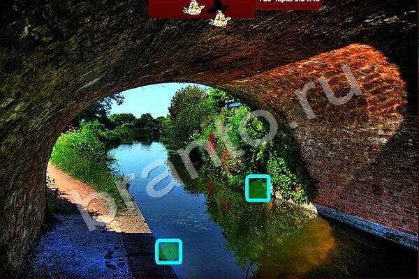 Подсказки на игру Найди Птичек Уровень 122