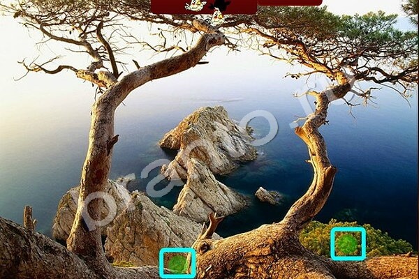 Помощь на игру ВК Найди Птичек Уровень 124