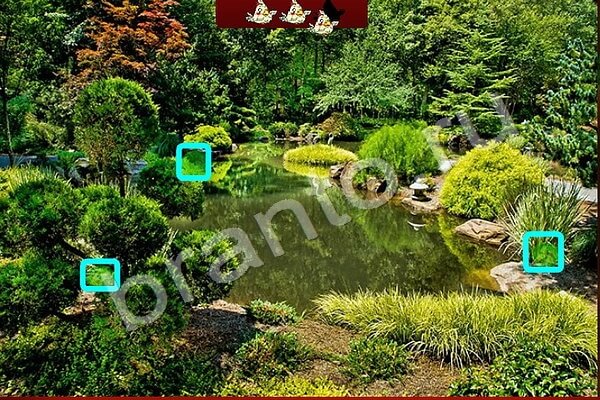 ВКонтакте Найди Птичек ответы Уровень 128