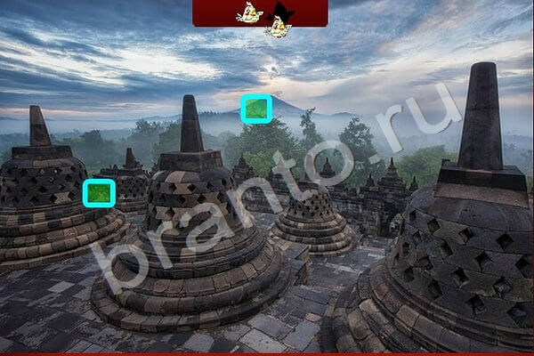 решебник на игру Найди Птичек Уровень 131