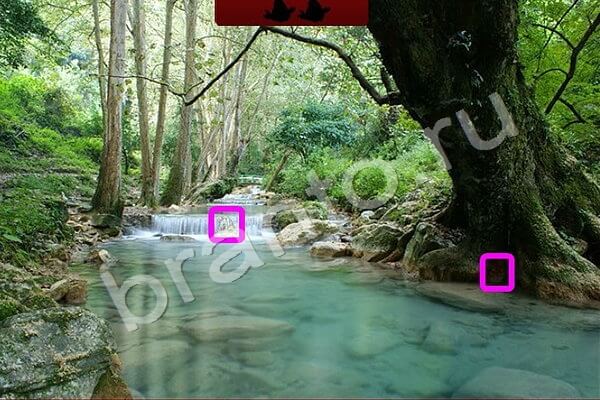 Найди Птичек игра ответы Уровень 133