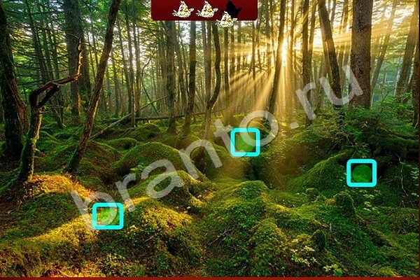 Найди Птичек игра помощь Уровень 135