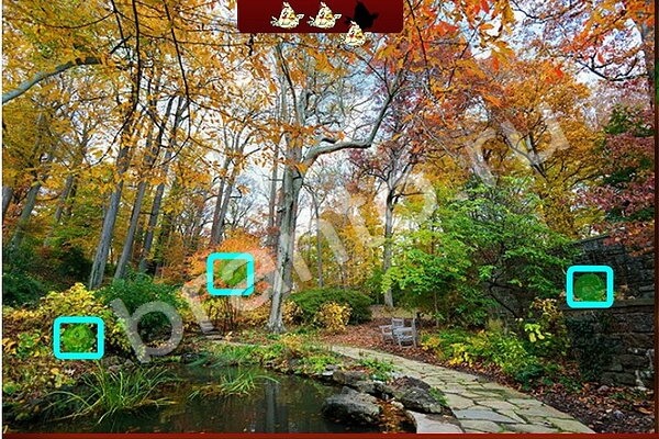 Игра Найди Птичек ответы Уровень 137