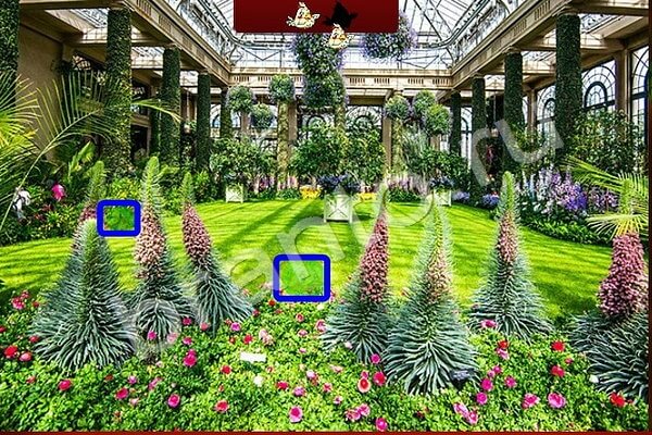 игра Найди Птичек помощь Уровень 139