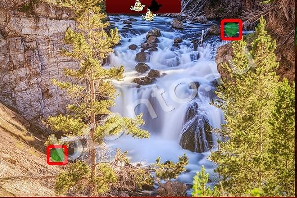 игра Найди Птичек ответ на Уровень 140