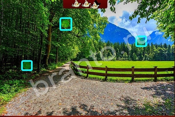 решебник на игру Найди Птичек Уровень 141