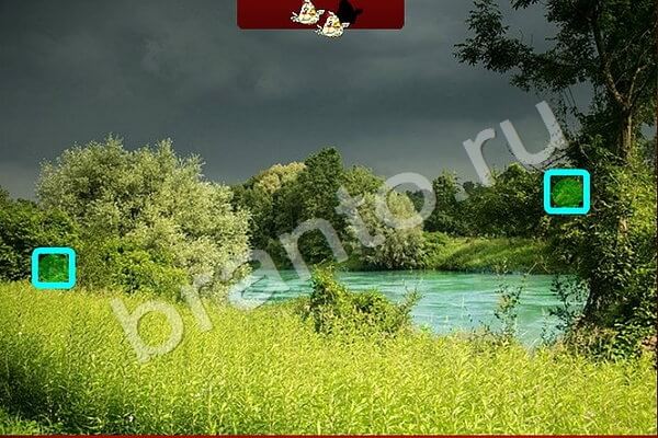 Найди Птичек игра ответы Уровень 143