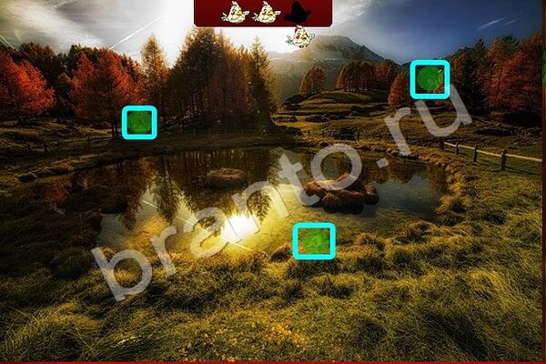 Найди Птичек игра подсказки Уровень 144