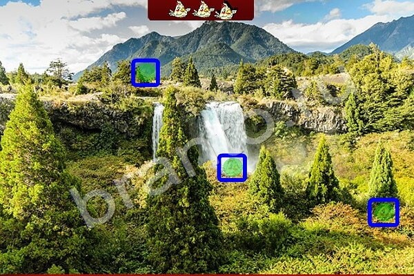 Найди Птичек игра помощь Уровень 145