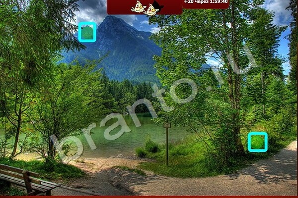 Найди Птичек ответы в картинках Уровень 146