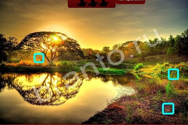 Игра Найди Птичек ответы Уровень 147