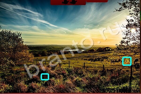 игра Найди Птичек помощь Уровень 149