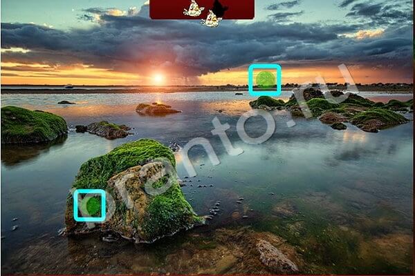 Подсказки на игру Найди птичек Уровень 152