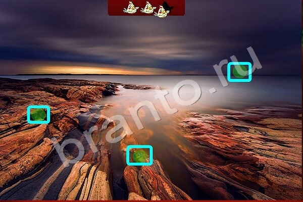 Помощь на игру ВК Найди птичек Уровень 154