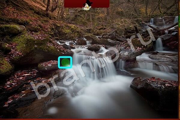 игра Найди птичек ответ на Уровень 160