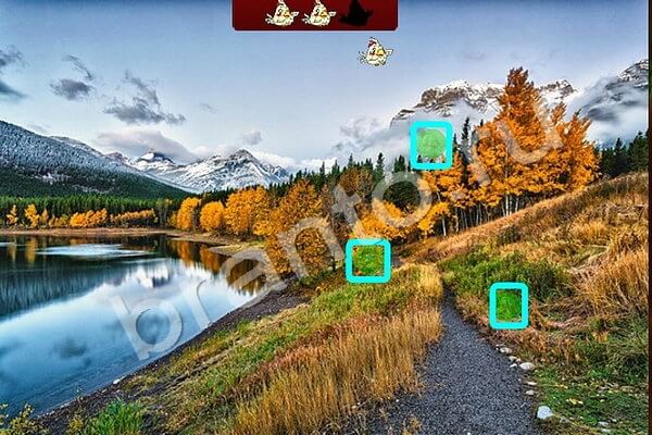 решебник на игру Найди птичек Уровень 161