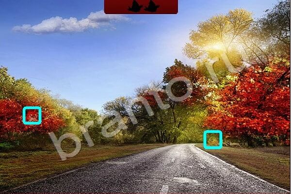 Найди птичек игра ответы Уровень 163