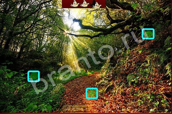 Найди птичек игра подсказки Уровень 164