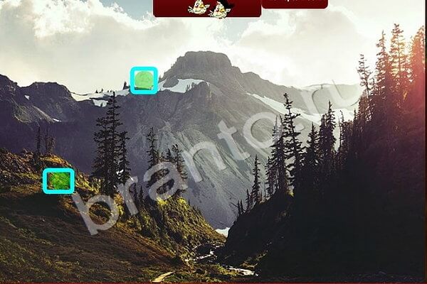 Найди птичек ответы в картинках Уровень 166