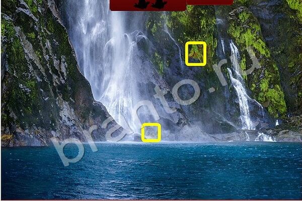 игра Найди птичек помощь Уровень 169